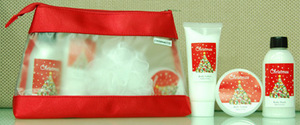chirstmas series hand wash
