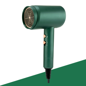 PRITECH High Quality Custom Ionic Function Professional House Travel  DC Motor Hair Dryer