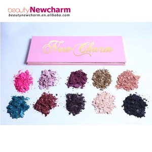 Professional cosmetic product popular star makeup 10 color eyeshadow palette