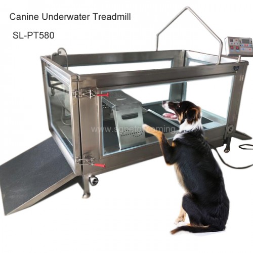 Multi-functional Underwater Treadmill For Canine Rehabilitation Hydrotherapy