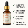 TERASUS ROSEMARY OİL 30 ML