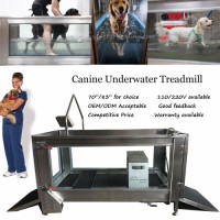 Multi-functional Underwater Treadmill For Canine Rehabilitation Hydrotherapy