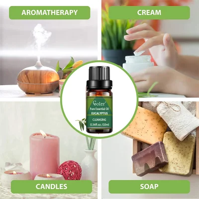 Factory Supply Top Quality Eucalyptus Essential Oil