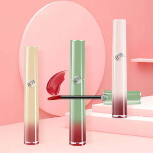 Lip gloss private label wholesale lip gloss custom lip gloss 5 unit set