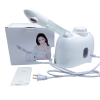 New Chinese herbal medicine replenishing water spray cleaning facial steaming face detector