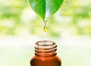 OEM/ODM Private Label Tea Tree Oil 100% Pure  For Shampoo