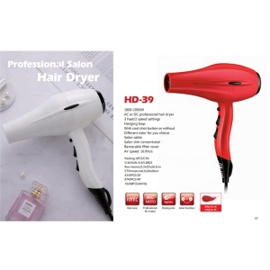 Powerful Professional Salon Hair Negative Ion Constant Temperature Blow Dryer