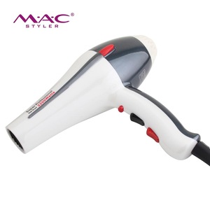 Wholesale Blow Dryer With Brushless Motor Professional Household And Salon AC Motor Hair Dryer