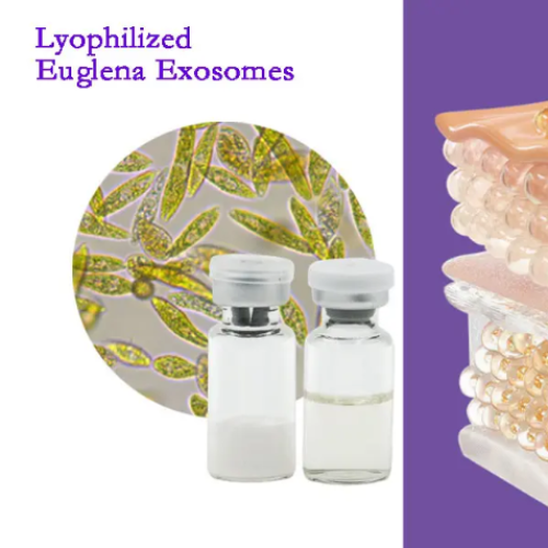 Lyophilized Euglena Exosomes