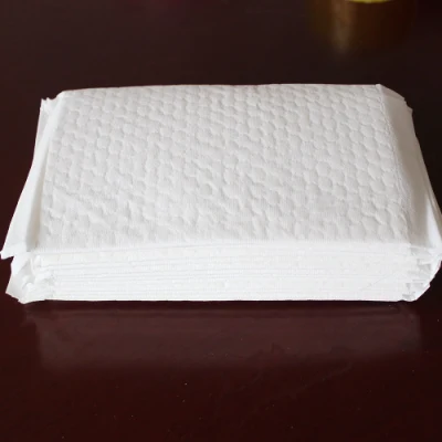 Adult Elder Elderly Senior Patient Baby Maternity Period Care Protect Underpad