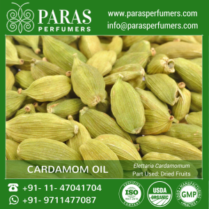 Cardamom Essential Oil