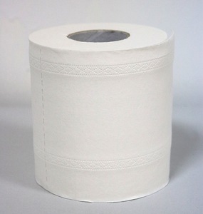 Factory direct Hygenic Soft Absorbent Flushable white 100% Virgin 2 ply Toilet Paper