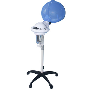 Factory Supply professional stand hair steamer with low price
