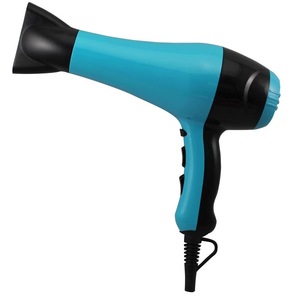 Ionic electric DC motor professional hair dryer