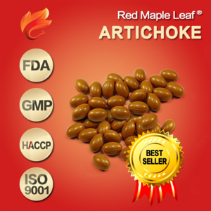 OEM 1000mg Weight Loss Product Pure Artichoke Extract Capsules