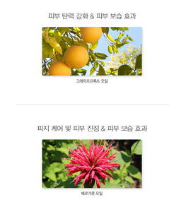 [the SAEM] URBAN DELIGHT Body Lotion - Citron, Skin Care, 400ml, Korean Cosmetic