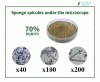 hydrolyzed sponge