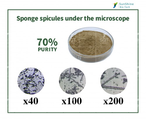 hydrolyzed sponge