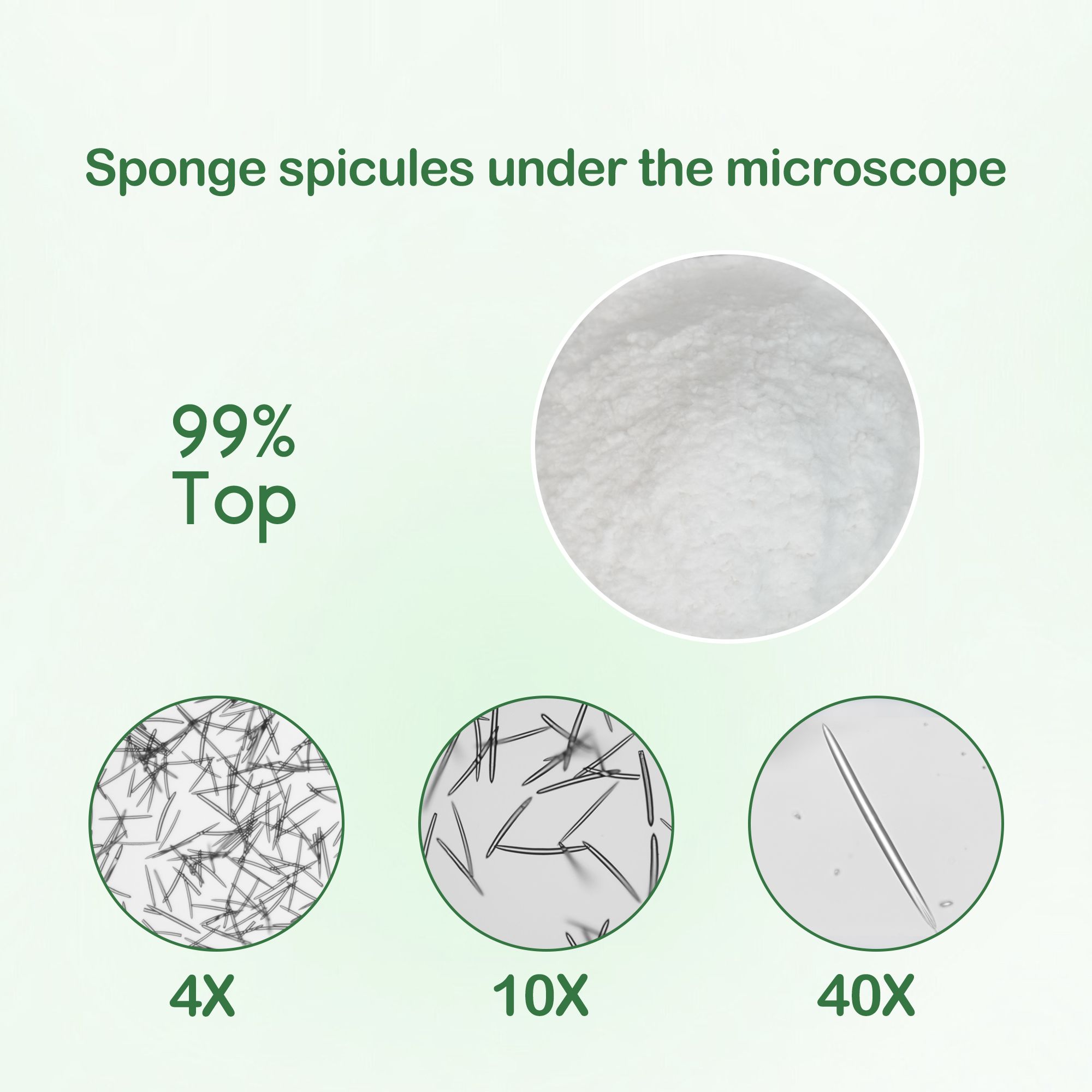 hydrolyzed sponge