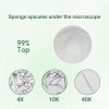 hydrolyzed sponge