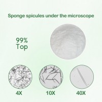 hydrolyzed sponge