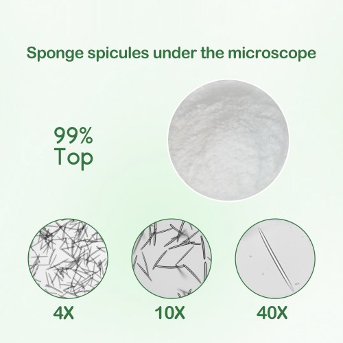 hydrolyzed sponge