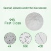 hydrolyzed sponge