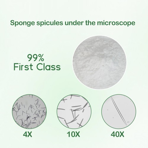 hydrolyzed sponge