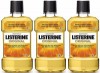 Buying Listerine 500ml Oral care