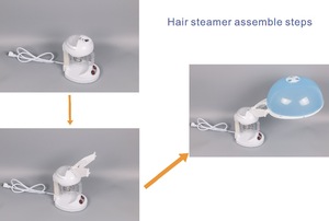 2017 Desk top wholesale DT-66 2 in1 hair steamer salon hair equipment