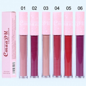 2020 hot sale private label colorful matte non-stick cup cosmetics lipstick lip gloss