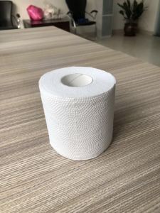 Biodegradable Flushable Toilet Paper