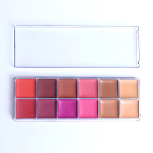 Create your own brand trendy 12colors private label acrylic blush organizer blush palette