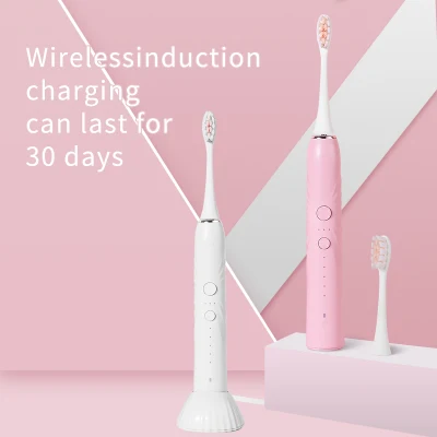 Electric Toothbrush Luxury Box 15 Modes Adjustable Frequency Rechargeable Electric Sonic Toothbrush OEM