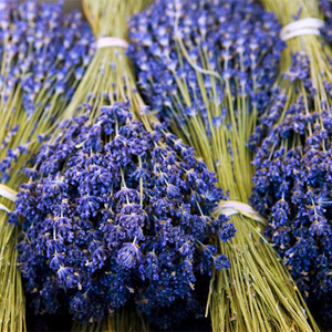 Lavender Essential Oil In Bulk