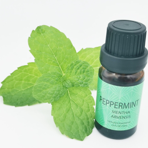 Private Label 100% Buy Pure 10ml Lavender Peppermint Eucalyptus Tea tree Aromatherapy Essential Oil