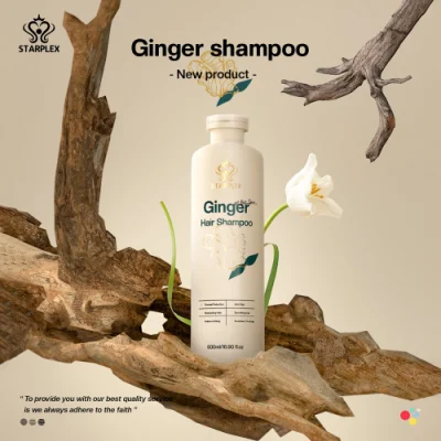 Private Label Shampoo Hair Care Set Organic Natural OEM Strengthen Anti Hair Loss Ginger Shampoo and Conditioner Set