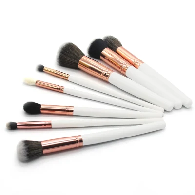 Professional Makeup Brush 10PCS Whole Sale Cosmetic Set Makeup Set Custom Bruhs