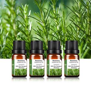 Rosemary  oil extract 100% natural plant for Food additive