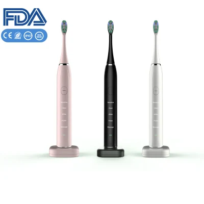 Sonic Electric Toothbrush Wholesale Manufacturer Wireless Charging Festival Gift with FDA Certification