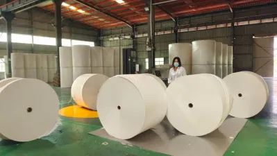 Wood Pulp Jumbo Tissue Roll for Facial Tissue, Toilet Tissue