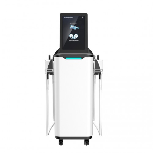 Cryotherapy Crylipolysis Combined EMS Sculpt EMS Body Sculpting 2 in 1 Machine