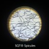 SQT Cosmetics grade spongilla spicules of  Freshwater Sponge