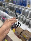 barber and Thinning scissors