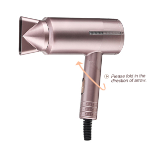 2021 New Design Household Personal Beauty Care Negative Ion Hair Dryer Blow Dryer Hair Dryer