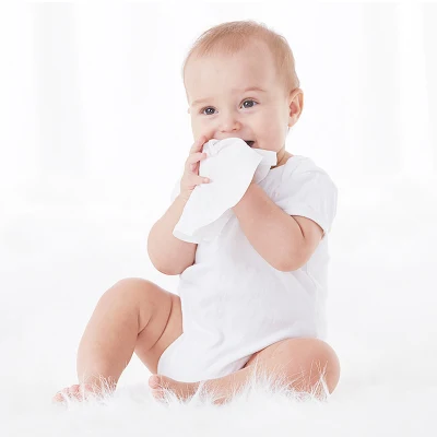 80 PCS Free Sample Organic Wet Wipes Baby Wipes/Wet Wipes Baby