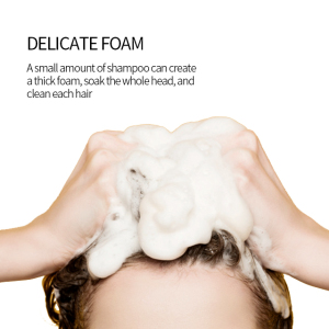 Anti-dandruff moisturizing shampoo 520ml hair shampoo private label keratin shampoo OEM ODM service