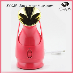 Chinese supply facial sprayer personal hair skin care home use micro mist hair steamer