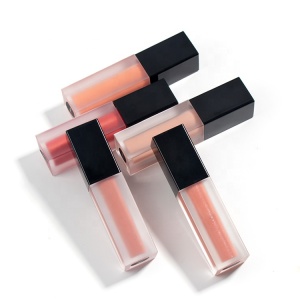Custom Frosted Tube Liquid Lipstick Private Label Lip Gloss Clear Lip Gloss Tubes With Wands