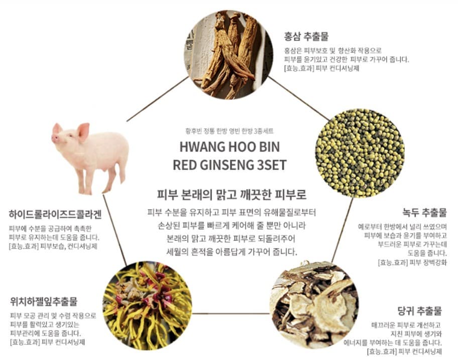 Hwang Hoo Bin Red Ginseng Skincare Set